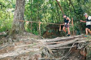 BIB: 
                            <button type="button" onclick="openModal(27805952)" class="btn btn-primary btn-sm float-right btn-popup" data-toggle="modal" data-target=".modal-high-quality">
                        <i class="fas fa-shopping-cart"></i> Add to Cart
                    </button>
                                            <button type="button" onclick="isThisMe(27805952, true)" class="btn btn-success btn-sm float-right btn-popup btn-isme hidden" data-toggle="tooltip" data-placement="bottom" title="นี่คือรูปของคุณใช่ไหม คลิกที่นี่เพื่อเอาเข้าอัลบั้ม">
                        <i class="fas fa-plus"></i> Add to album
                    </button>
                    <button type="button" onclick="isThisMe(27805952, false)" class="btn btn-warning btn-sm float-right btn-popup btn-isnotme hidden">
                        <i class="fas fa-ban"></i> Remove from album
                    </button>